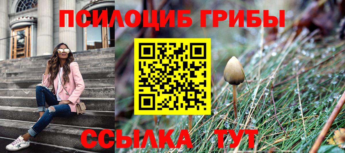 Галлюциногенные грибы прущие грибы Сосновоборск