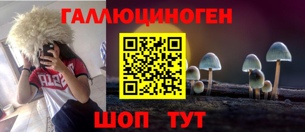 Сосновоборск  Псилоцибиновые грибы Psilocybe  Вход с VPN  Галлюциногенные грибы мицелий 